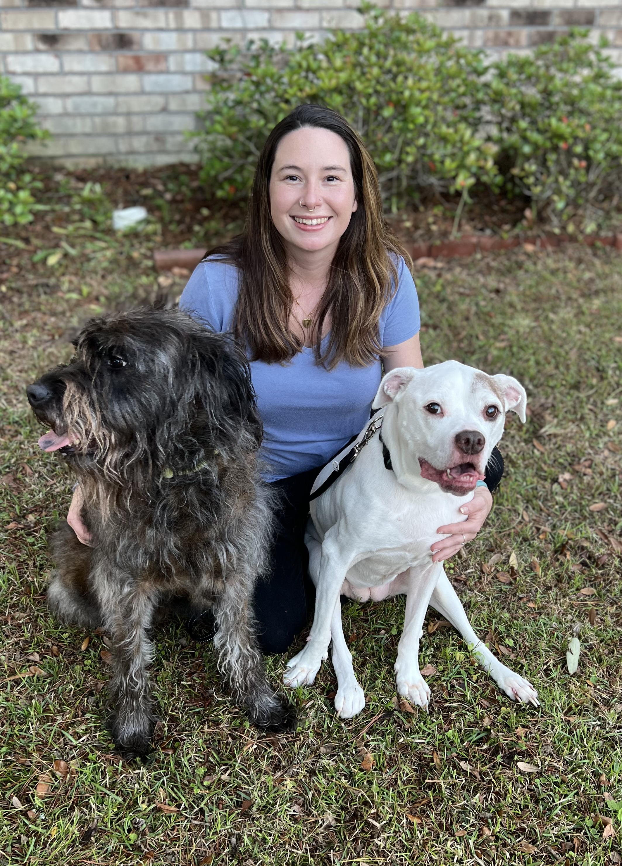 Why Pet Sitters Are Critical to Life Today