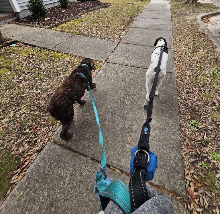 Why October Is the Perfect Time For Mid-Day Walks